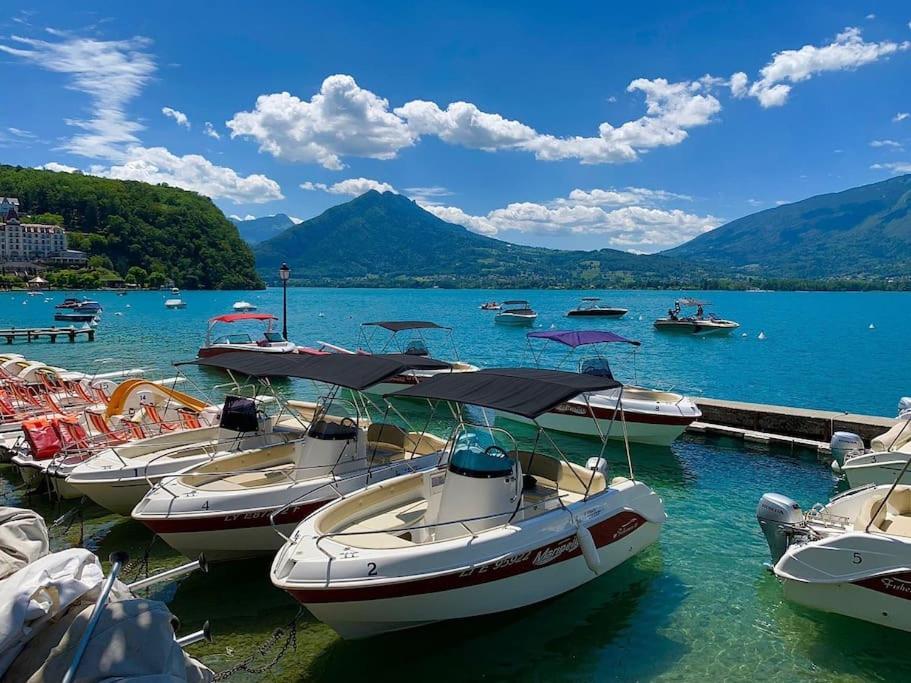 Charmant Appartement Lac D'Annecy / Ski - 6 Pers Menthon-Saint-Bernard Dış mekan fotoğraf