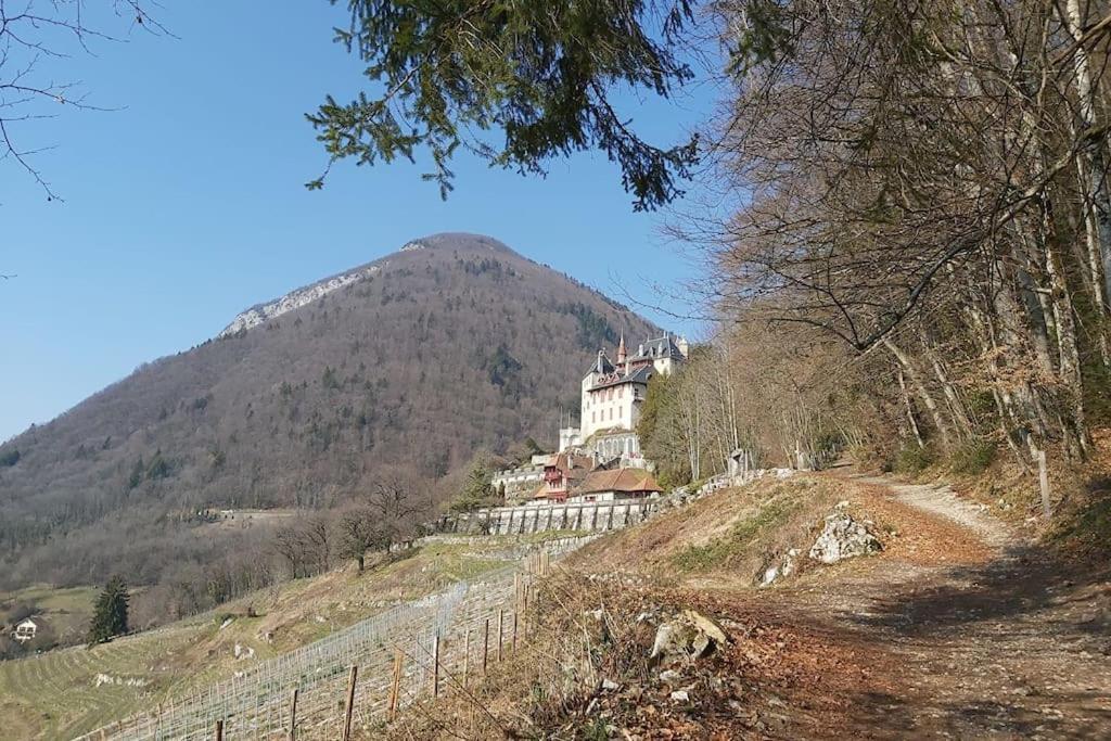 Charmant Appartement Lac D'Annecy / Ski - 6 Pers Menthon-Saint-Bernard Dış mekan fotoğraf
